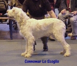 C LoScoglio.jpg