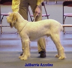 J Azzolino.jpg