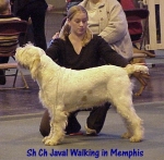 J WalkingInMemphis.jpg