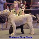 M DizzyBlonde.jpg