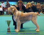 Best of Breed.jpg