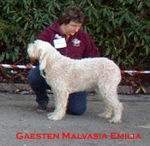 G-MalvasiaEmilia.jpg