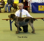 Tina-Brinha-2.jpg