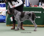 Franca-Ferola.jpg